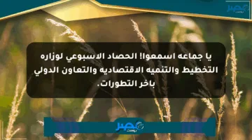 يا جماعة اسمعوا! الحصاد الأسبوعي لوزارة التخطيط والتنمية الاقتصادية والتعاون الدولي بآخر التطورات.